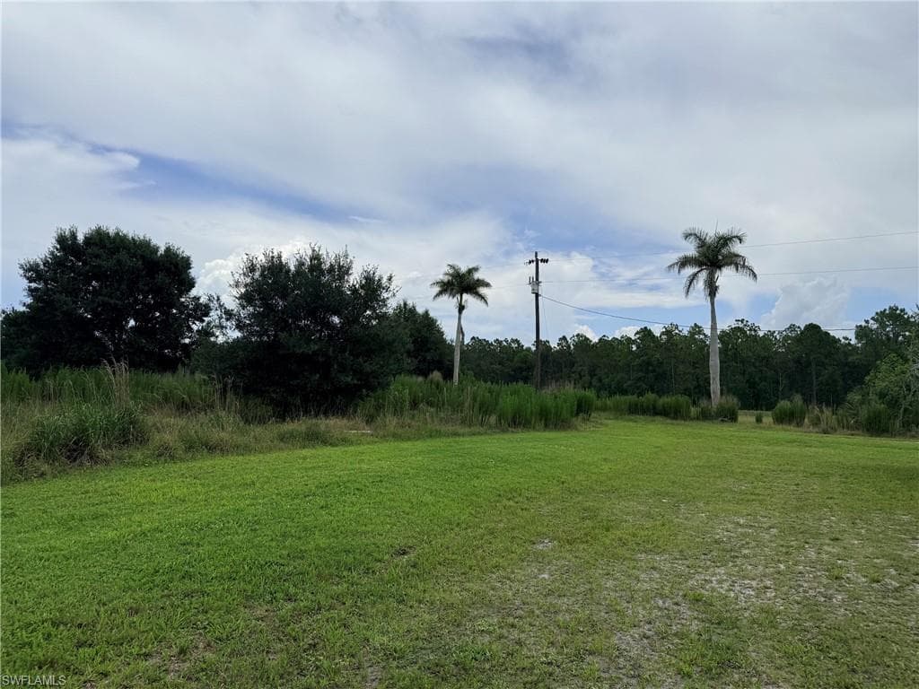 925 Purple Martin DR-8