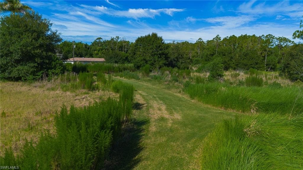 925 Purple Martin DR-25