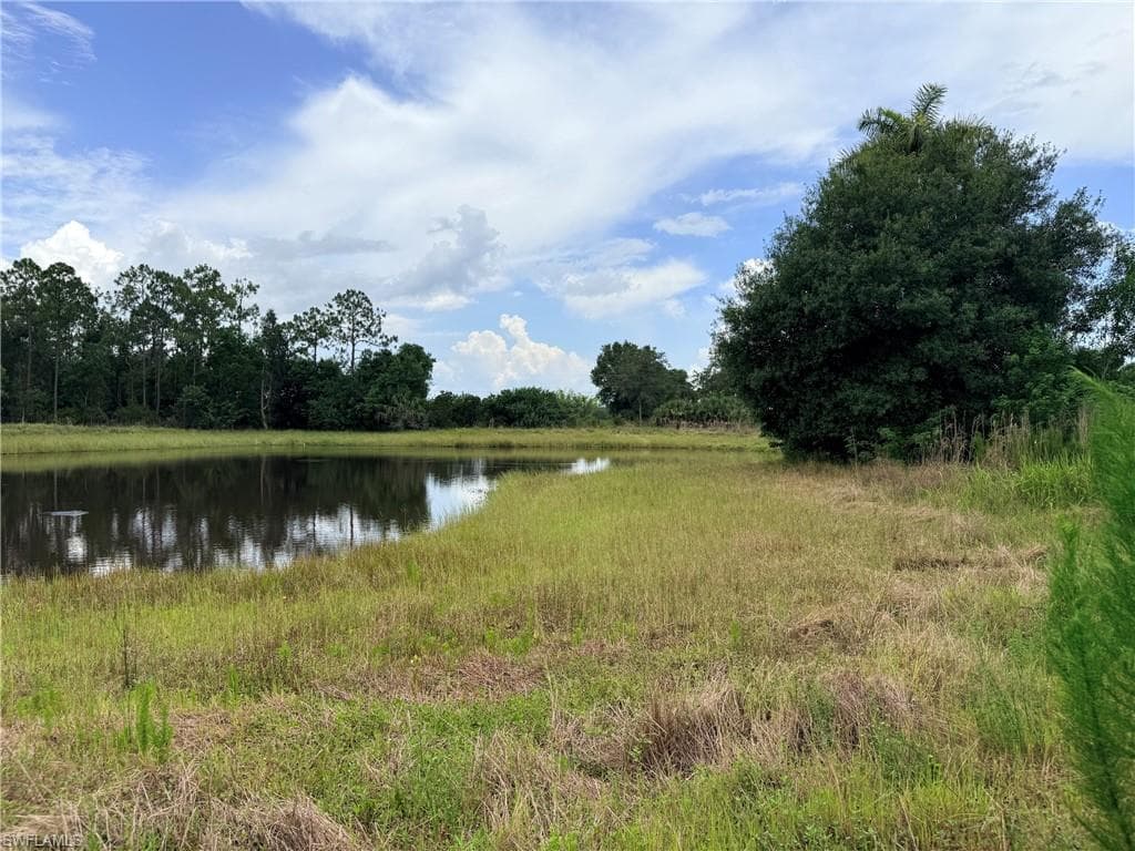 925 Purple Martin DR-21