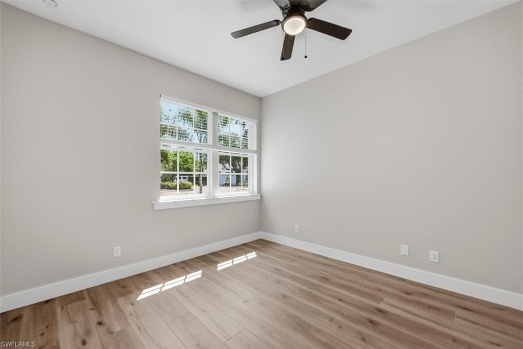 24720 Bay Bean CT-24