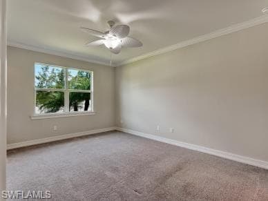 259 Tamarindo LN-25