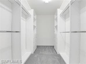 10008 Chesapeake Bay DR-28