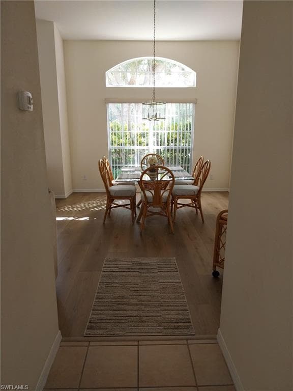 449 Dundee CT-8