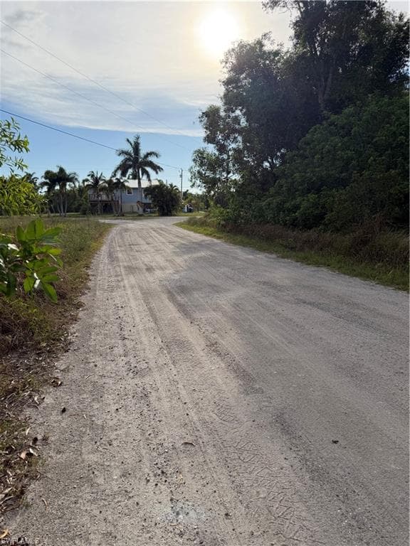 5973 Sandal LN-3