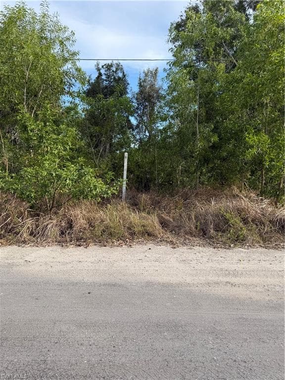 5973 Sandal LN-5