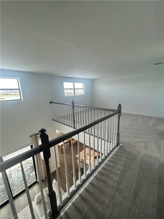 11299 Canopy LOOP-12
