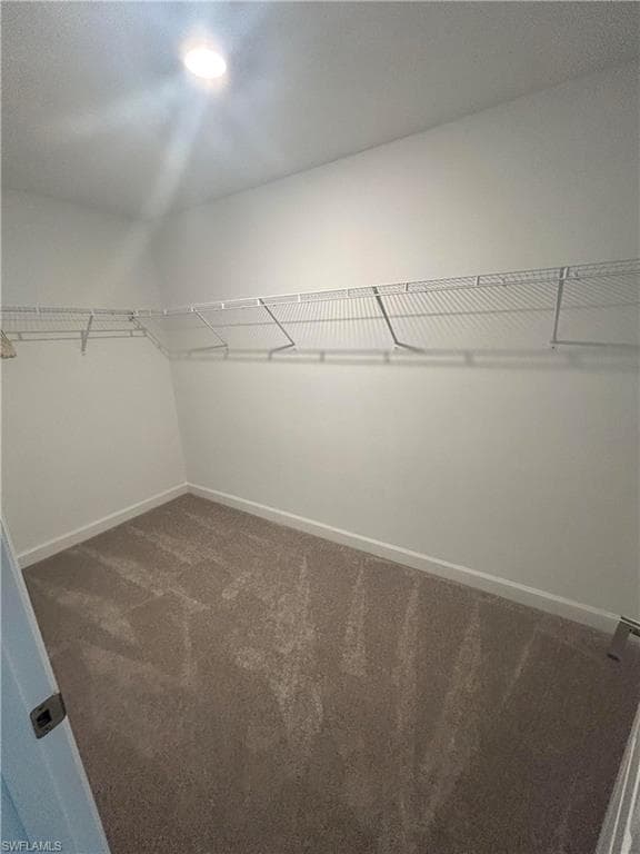 11299 Canopy LOOP-14
