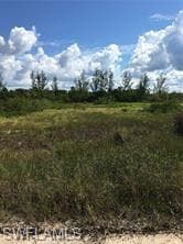 5390 GAME BIRD LN-2