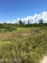 5390 GAME BIRD LN-6