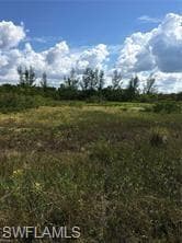 5390 GAME BIRD LN-5