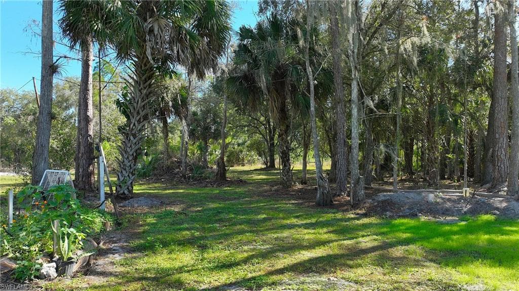 22950 Tinas LN-33
