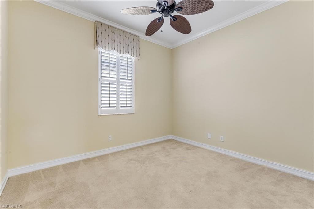 12584 Grandezza CIR-19