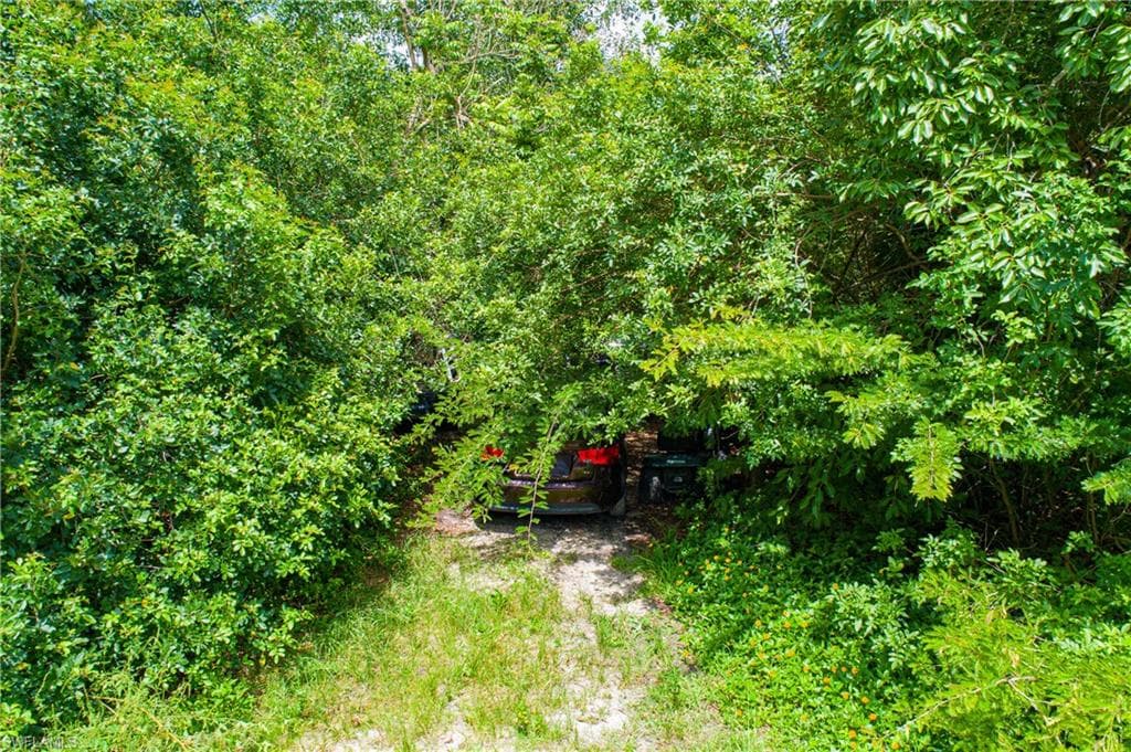 11444 Laertes LN-11