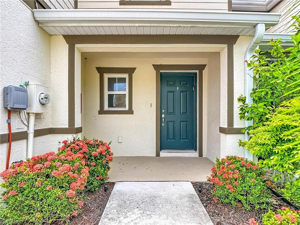 15121 Piping Plover CT 102-2