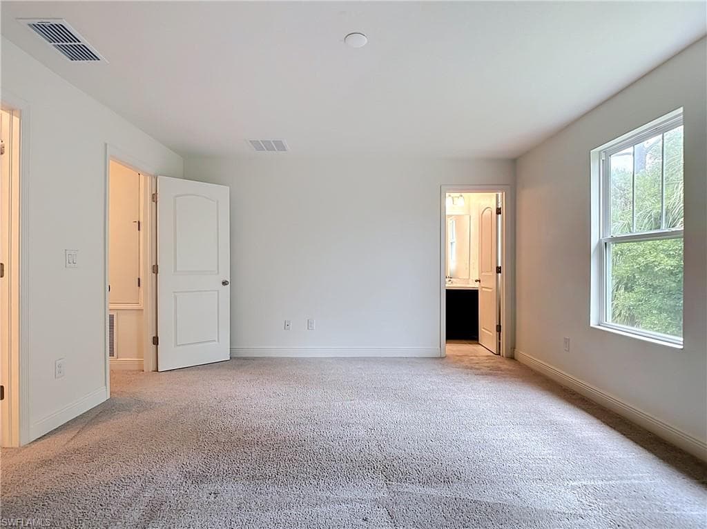 15121 Piping Plover CT 102-13
