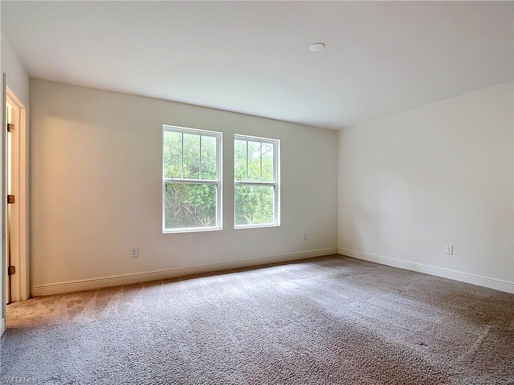15121 Piping Plover CT 102-12