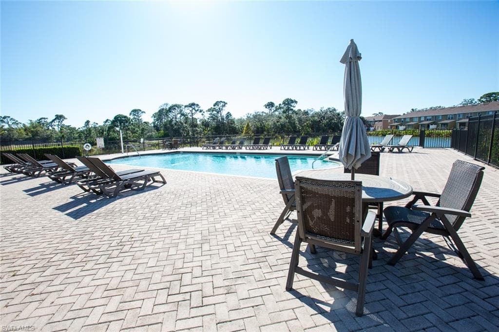 15121 Piping Plover CT 102-28