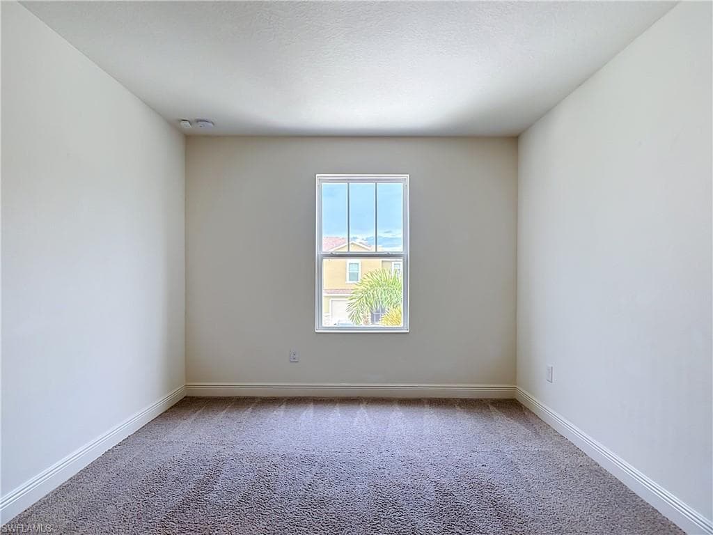 15121 Piping Plover CT 102-20