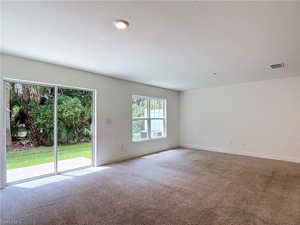 15121 Piping Plover CT 102-9