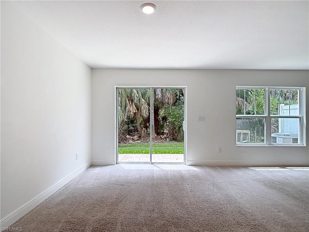 15121 Piping Plover CT 102-10