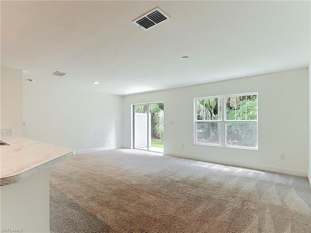 15121 Piping Plover CT 102-8