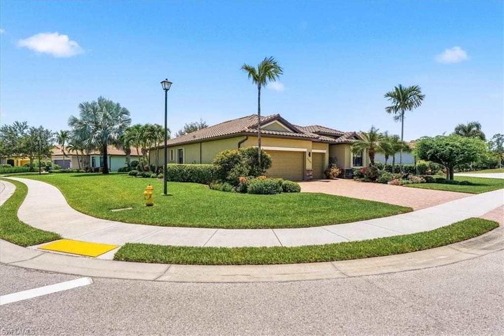 20503 Black Tree LN-37
