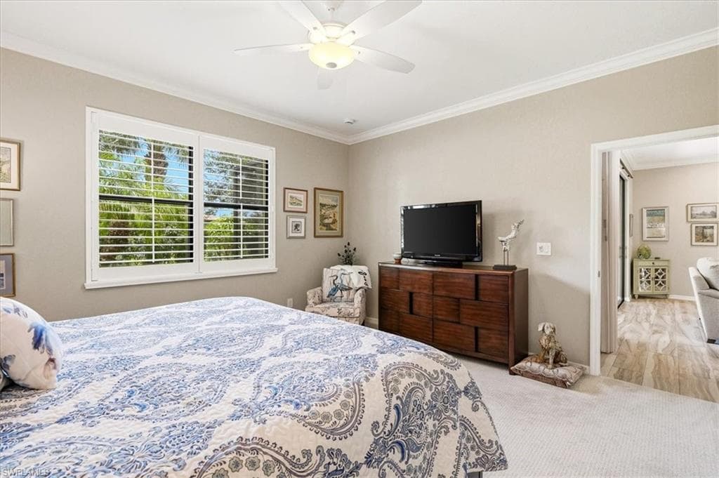 20503 Black Tree LN-21