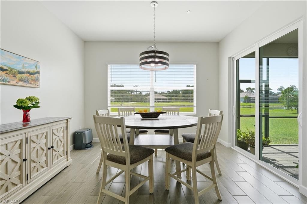 17040 Serengeti CIR-12