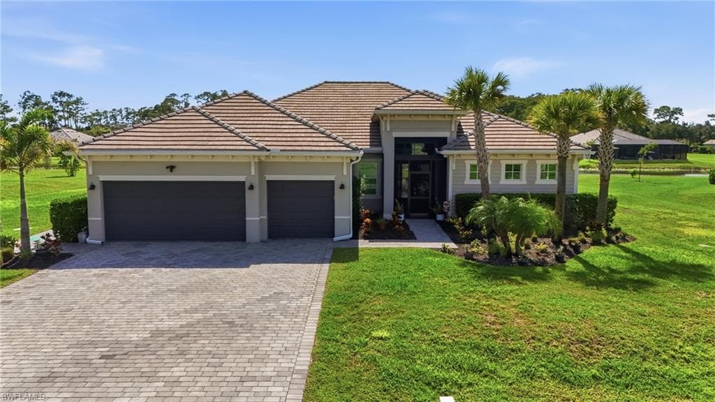 17040 Serengeti CIR-36