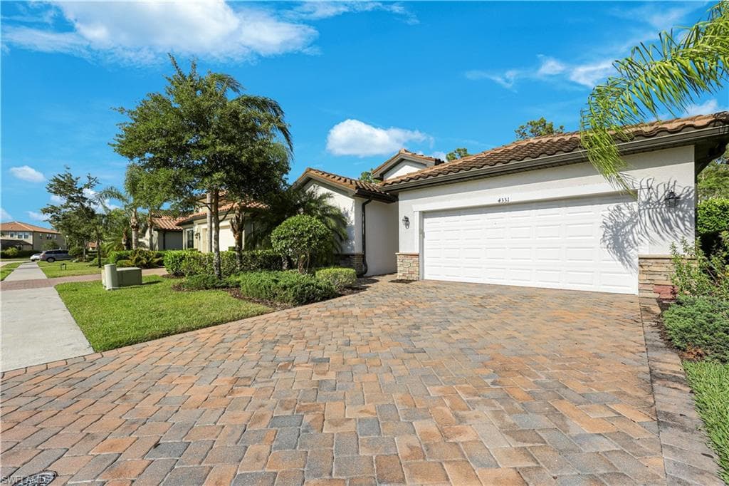 4331 Raffia Palm CIR-27