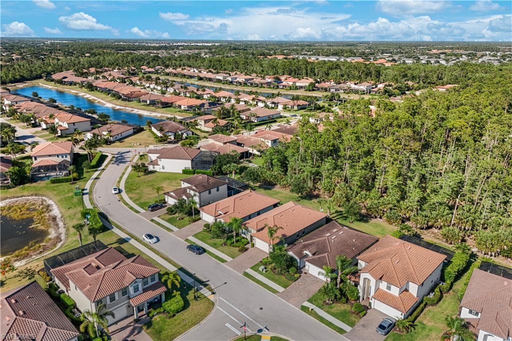 4331 Raffia Palm CIR-26