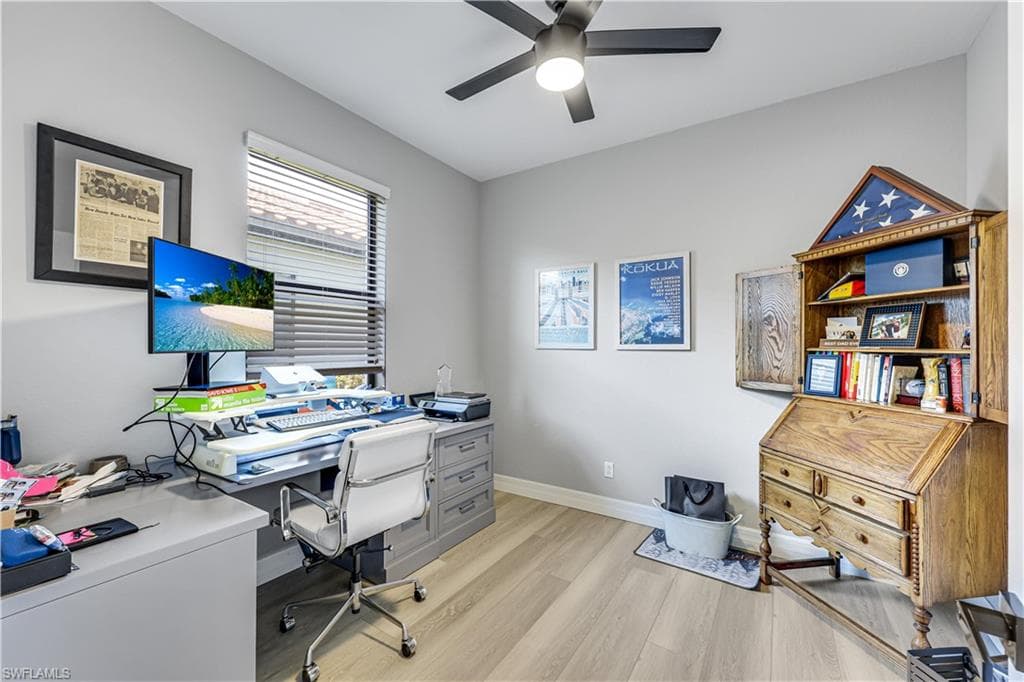 4331 Raffia Palm CIR-22