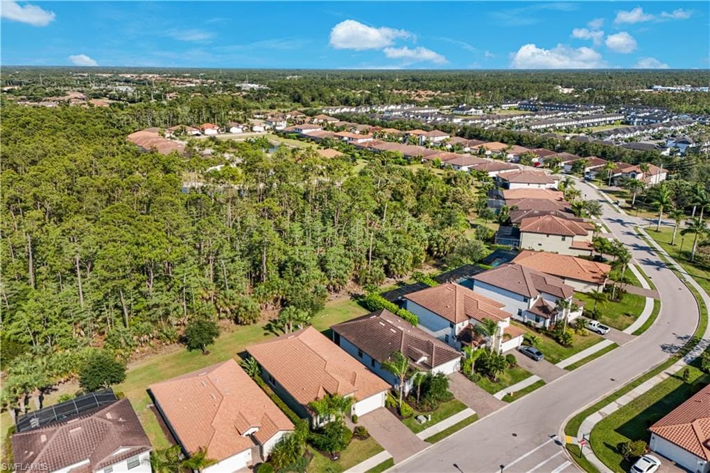 4331 Raffia Palm CIR-28
