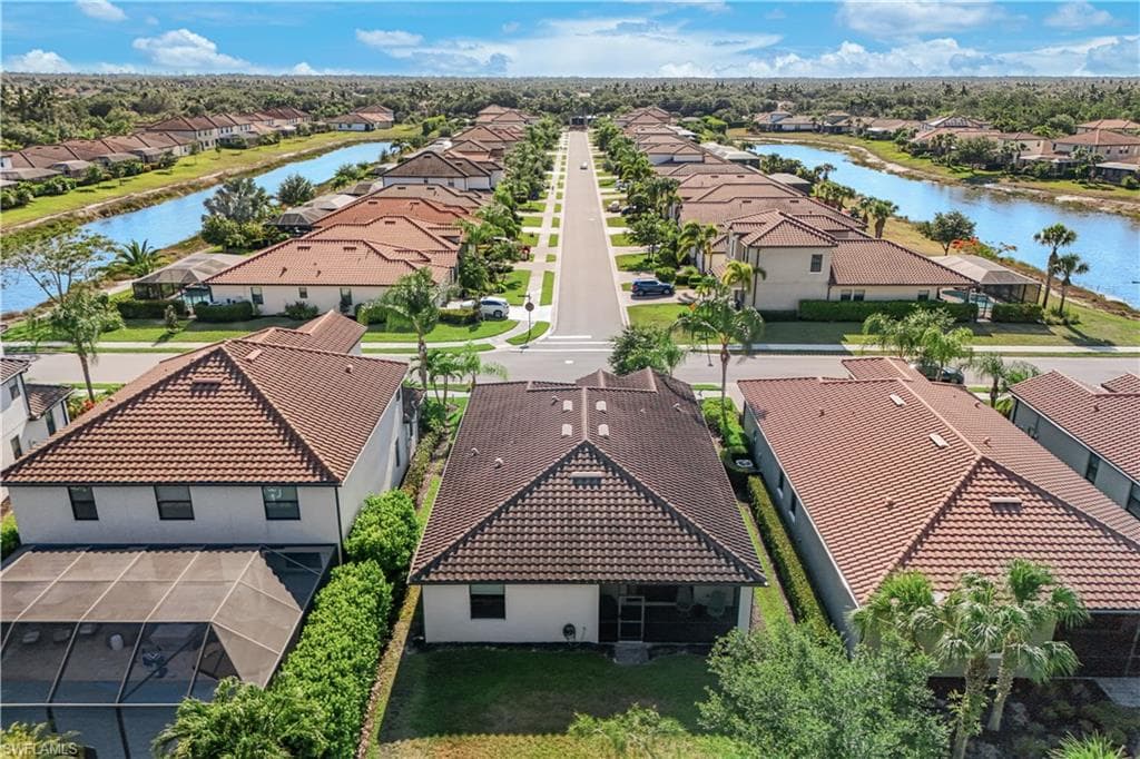 4331 Raffia Palm CIR-33