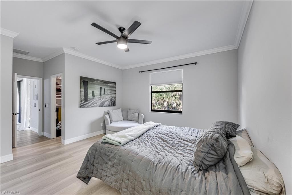 4331 Raffia Palm CIR-14