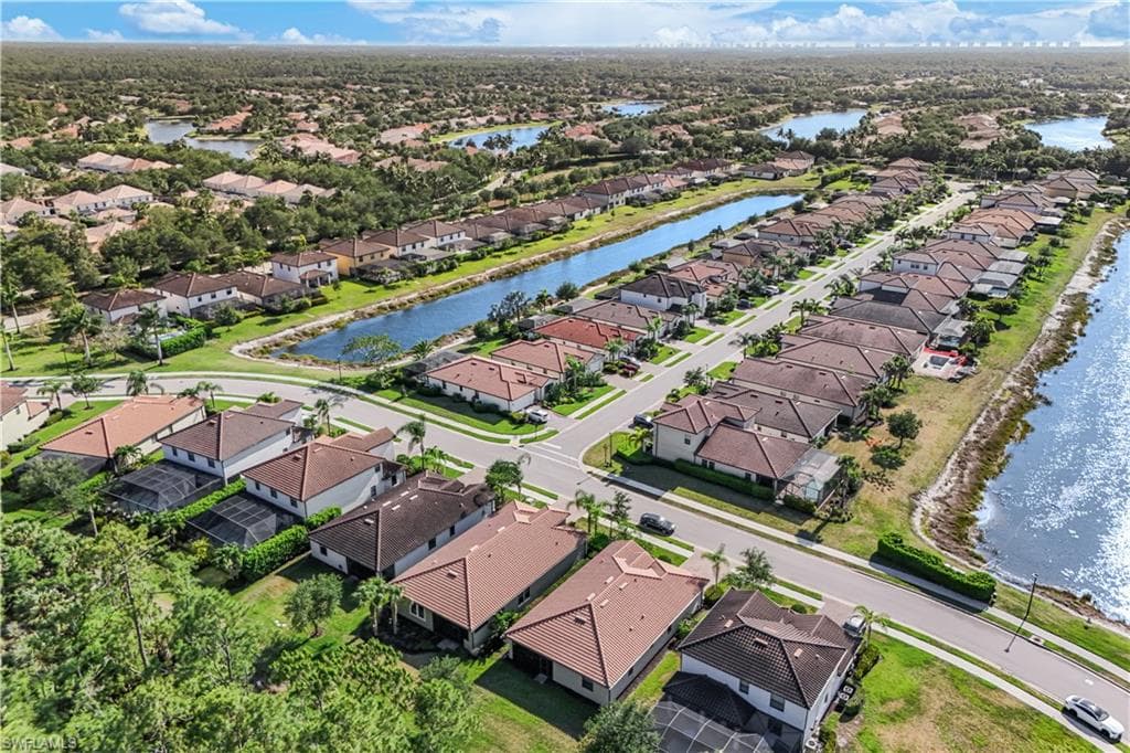 4331 Raffia Palm CIR-35