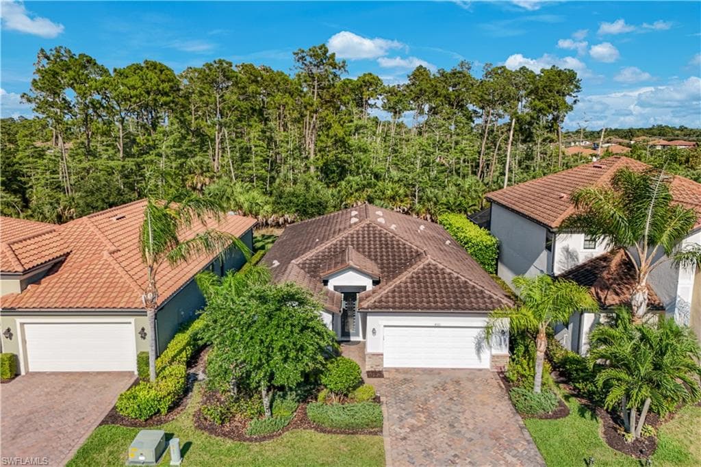 4331 Raffia Palm CIR-29