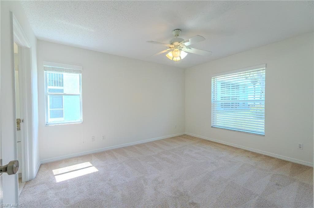 117 Wading Bird CIR 101-6
