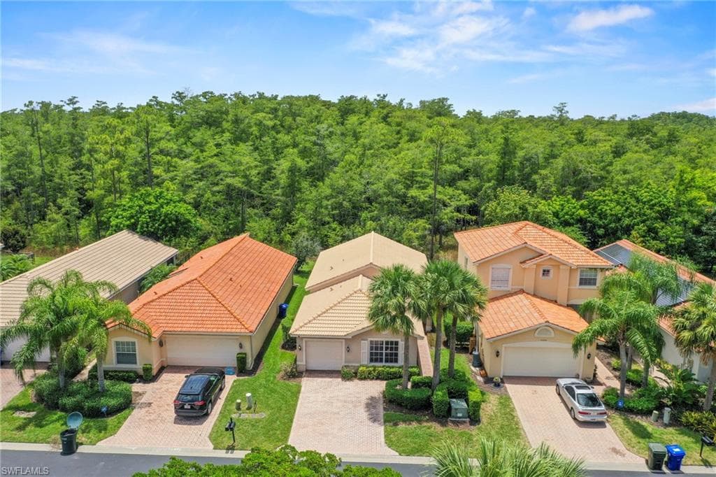 11104 Yellow Poplar DR-20