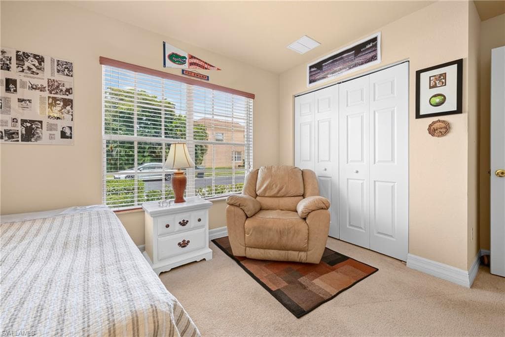 11104 Yellow Poplar DR-14