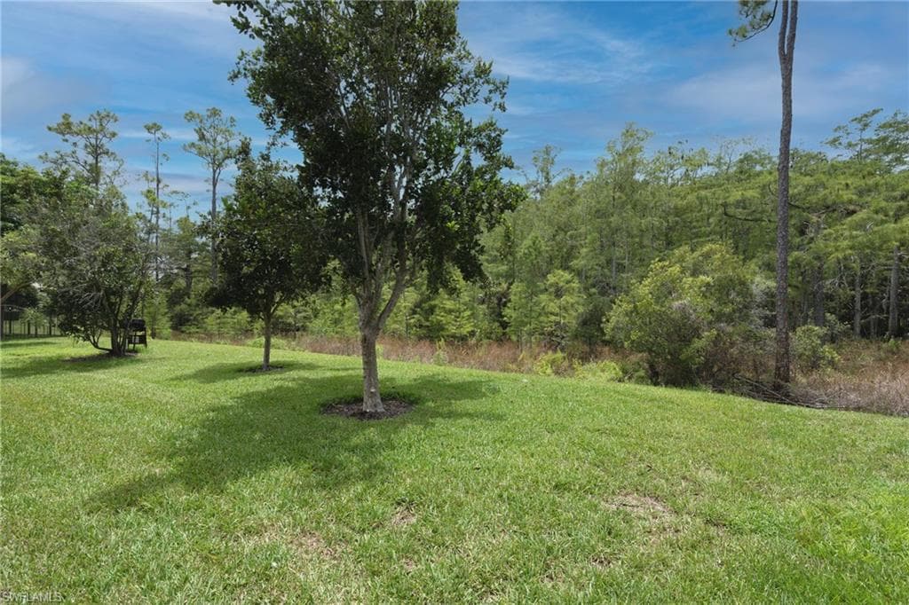 11104 Yellow Poplar DR-18