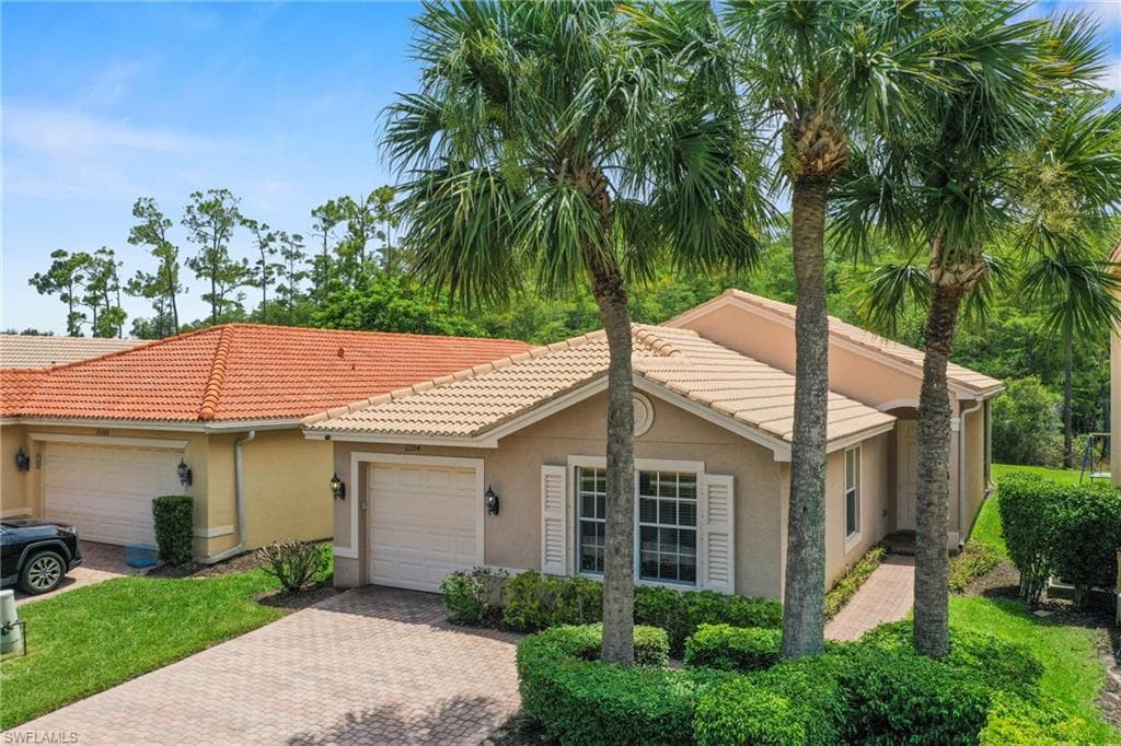 11104 Yellow Poplar DR-19