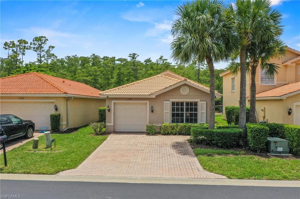 11104 Yellow Poplar DR-21