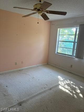 224 Pine Valley CIR-19