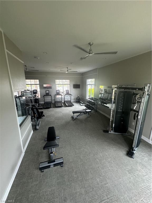 2793 Star Coral DR-23