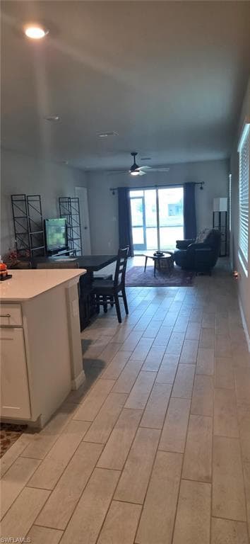 2793 Star Coral DR-13