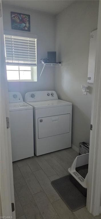 2793 Star Coral DR-16