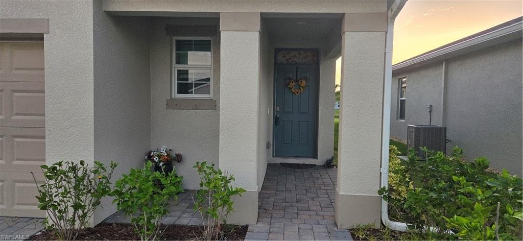 2793 Star Coral DR-1