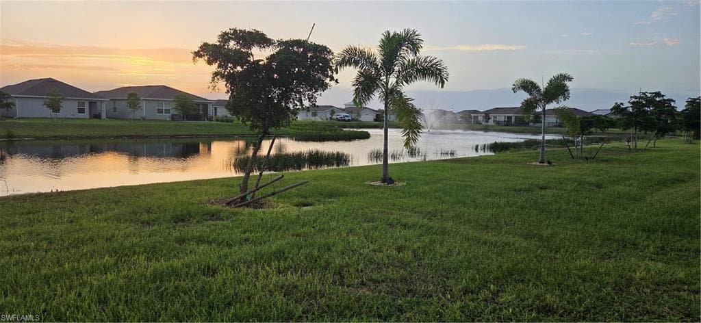 2793 Star Coral DR-9