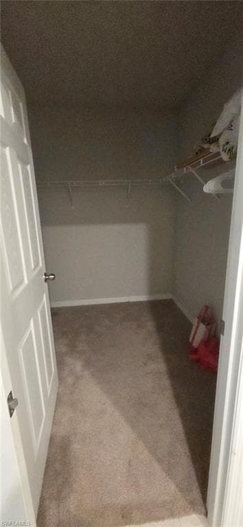 2793 Star Coral DR-19